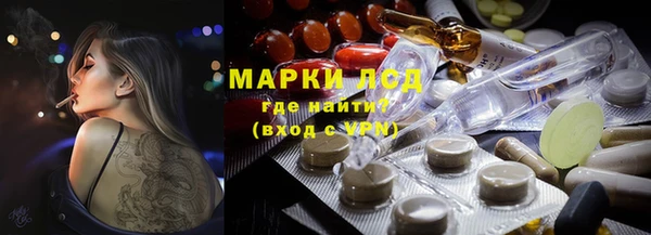 ГАЛЛЮЦИНОГЕННЫЕ ГРИБЫ Корсаков