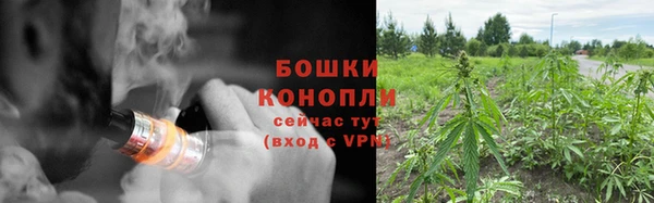 ГАЛЛЮЦИНОГЕННЫЕ ГРИБЫ Корсаков