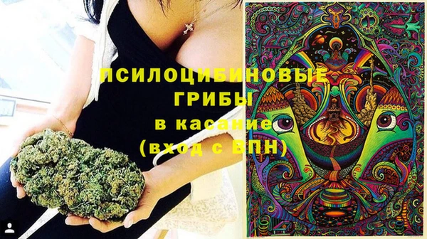 ГАЛЛЮЦИНОГЕННЫЕ ГРИБЫ Корсаков