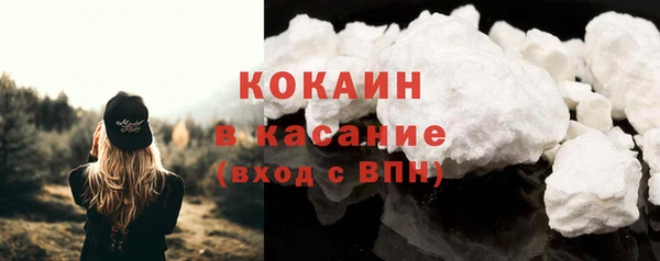ГАЛЛЮЦИНОГЕННЫЕ ГРИБЫ Корсаков