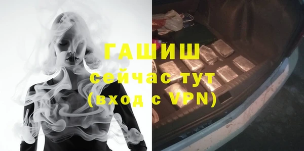 ГАЛЛЮЦИНОГЕННЫЕ ГРИБЫ Корсаков