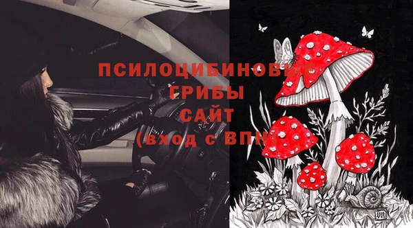 дурь Краснотурьинск