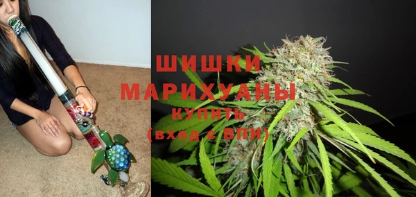 ГАЛЛЮЦИНОГЕННЫЕ ГРИБЫ Корсаков