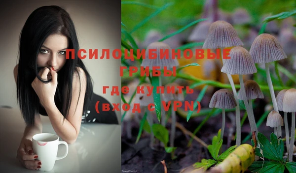 ГАЛЛЮЦИНОГЕННЫЕ ГРИБЫ Корсаков