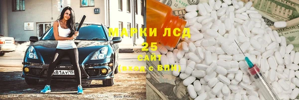 ГАЛЛЮЦИНОГЕННЫЕ ГРИБЫ Корсаков