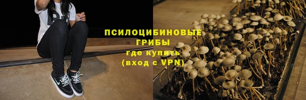 ГАЛЛЮЦИНОГЕННЫЕ ГРИБЫ Корсаков