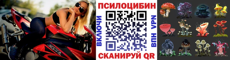 Галлюциногенные грибы MAGIC MUSHROOMS  наркошоп  Саяногорск 